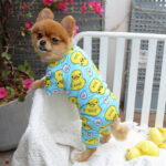 Pet Dog Cat Four-legged Clothes - Image 9