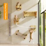 Space Capsule Suspended Cat Scratching Chamfer