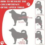 Pet Knee Pads For Joint Injury Recovery Legs Protector Dog Thigh Brace Wrap Adjustable Support Belt Post-operative Fixation - Image 4