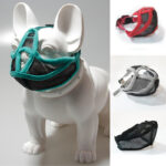 Short-mouthed Dog Cover - Image 2