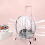 Portable Transparent Trolley Case Cat Bag - Image 2