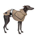 Spring And Autumn Camel Velcro Windbreaker - Image 5