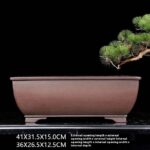 Retro Domestic Square Purple Sand Flowerpot - Image 5