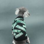 Warm Fashion Clothes Street Slogans Printed Sweaters For Dogs And Cats - Image 2