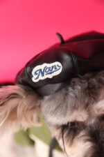 Dog Accessories Photo Concave Shape Pumpkin Hat - Image 6