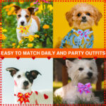 Pet Love Diamond Bow Tie Bow Tie Accessories - Image 4