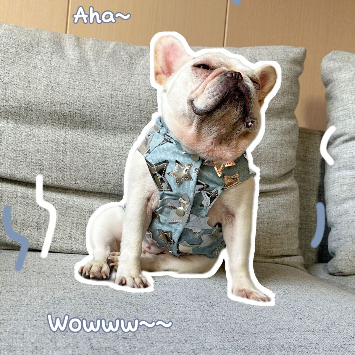 Pet Cat And Dog Summer Thin Denim Vest Jacket - Image 8
