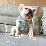 Pet Cat And Dog Summer Thin Denim Vest Jacket - Image 8