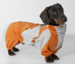 Pet Winter Color Matching Clothes - Image 4