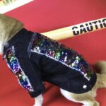 Sequin Denim Large Medium And Small Dog Jacket - Image 4