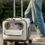 Cat Bag Going Out Pet Trolley Bag Good-looking Anti-stress Cat Backpack - Image 5