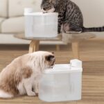 Wireless Induction Pet Water Dispenser - Image 5