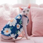 Pure Cotton Dress For Pets - Image 5