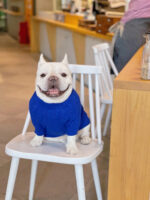 Bichon Corgi Warm And Thick Winter Clothes - Image 6