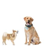 Anti-bark Nuisance Artifact Prevent Dog Barking Automatic Stop Device Electric Shock Collar Bark Stopper - Image 2