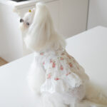 Small Town Flower Print Lace Dog Skirt - Image 2