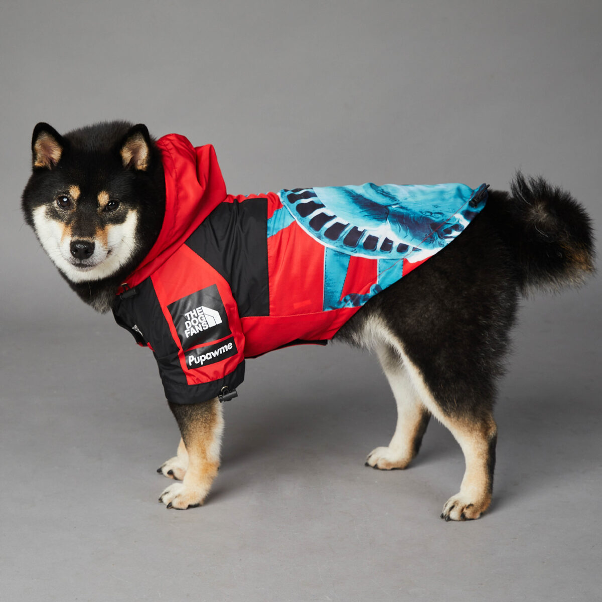 Windproof And Rainproof Dog Pet Shell Jacket - Image 5