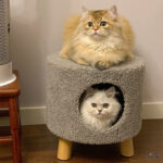Cat Nest Bench Dual-use Creative - Image 10