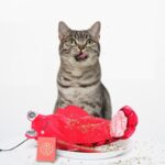 Intelligent Start Stop Electric Automatic Cat Toys - Image 6