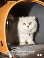 Pet Bag Outdoor Portable Dogcat Handbag - Image 4