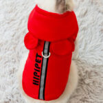 Autumn And Winter Anti-lint Muppet Blue Cat Silver Gradual Layer Pet British Shorthair Cat Clothes Thickened Vest