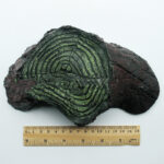 Reptile Supplies Balcony Climbing Rockery Balcony - Image 5