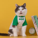 456 Digital Pet Clothes Cat Dog Coat Teddy Small And Medium-sized Dogs Sweater - Image 4