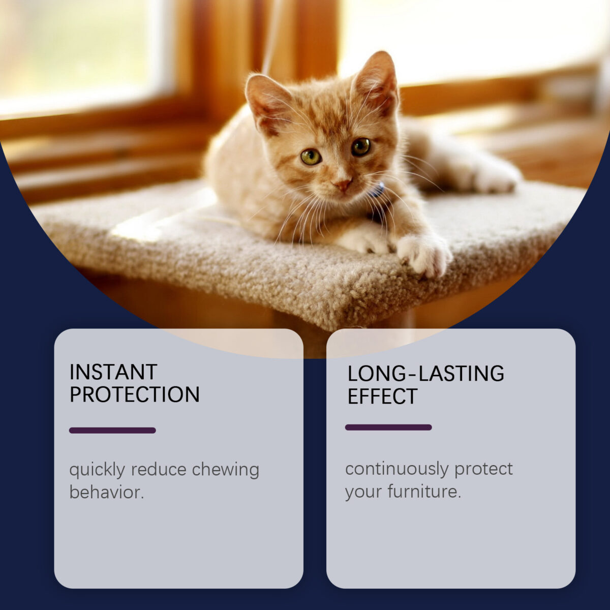 Pet Anti-chewing Spray Indoor Training Dogs And Cats Anti-biting Scratching Furniture - Image 2