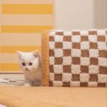2 In 1 Dog Cat Bed Tunnel Cute Fan Shaped Pet Bed Funny Plush Plaid - Image 8