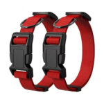 Big And Small Cat Dog Collar - Image 7