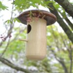 Wooden Bee Mushroom Shape Hummingbird Feeder Pendant - Image 2