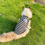 Striped Clothes Small Dog Pet Clothes Vest Type - Image 3