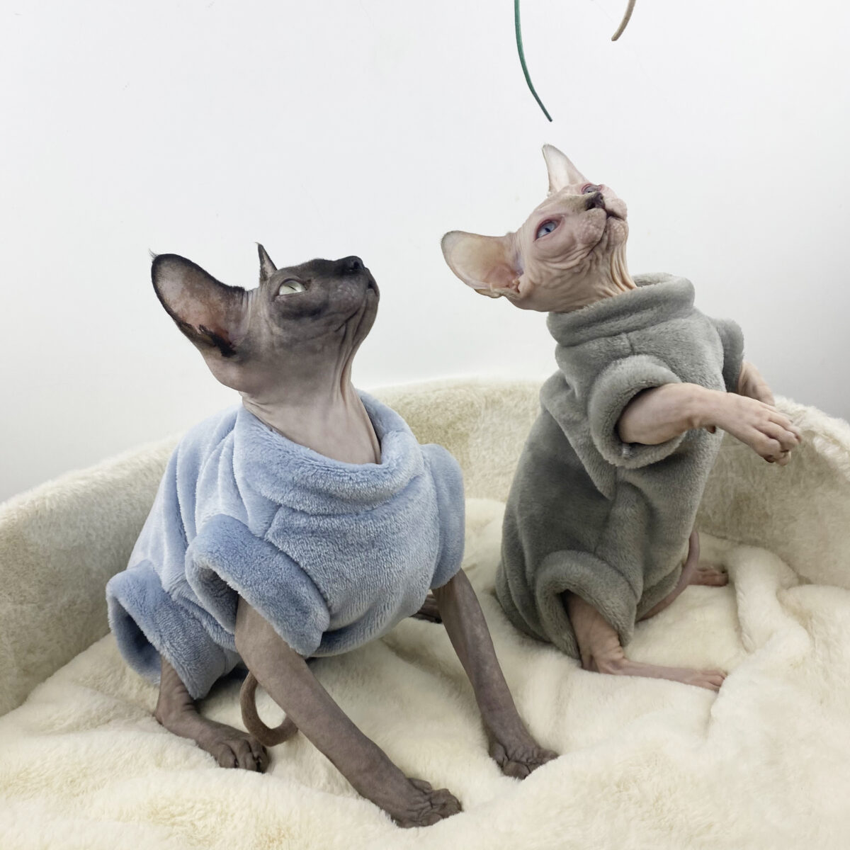 Sphinx Hairless Cat Flannel Thermal Four-legged Jacket - Image 5