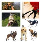 Dog Harness Chest Strap Camera Accessory For Dualuse Back On Chest - Image 3