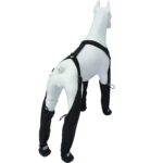 Elastic Belt With Reflective Pet Shoes Waterproof - Image 5