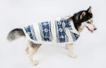 Big Dog Clothes Golden Retriever Samoyed Side Shepherd Medium And Large - Image 6