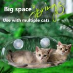 Universal Cat Climbing Frame Cat Window Sucker Hanging Bed Swing Balcony Bedside Glass Sleeping Cat Hammock - Image 3