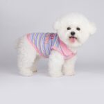 Small Dog Pet Cat Autumn Vest - Image 2