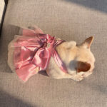 Mesh Dress Skirt Dogs And Cats Bow Pearl - Image 4