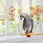 Parrot Bite Toy Small And Medium Bird Log Swing Ring Bell String - Image 5