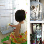 Portable Pet Display Wire Bird Parrot Cage - Image 5