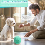 Pet Dog Toy Ball Cat Toy Outdoor Bite-resistant Puzzle Anti-choking Molar Cleaning Food-grade Silicone Leaking Food Ball - Image 3