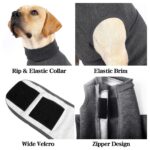 Pet Polyester Emotional Comfort Cotton Double Jacket Clothes - Image 4