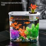 Acrylic Transparent Ecological Incubator Goldfish Tank - Image 2