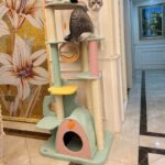 Large Cat Scratching Post Cat Life Supplies Toys - Image 7