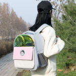 Going Out Portable Space Capsule Pet Large-capacity Backpack - Image 3