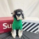 Pet Clothes Green Terry Sweater Hoodie Fashion - Image 3