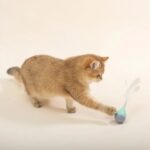 Pet Cat Toy Tumbler Tease Cat Ball Bite-resistant Tease Stick Feather Self-healing - Image 7