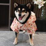 Creative Printing Cotton Pet Dog Clothes - Image 5
