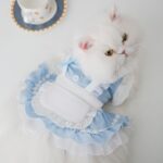 Thin Cat Princess Dress Two Feet Dog Pet - Image 2